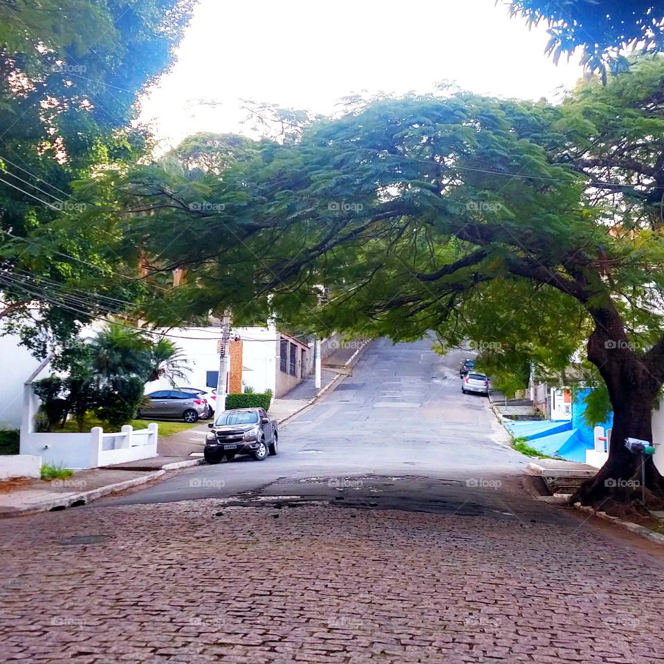 rua