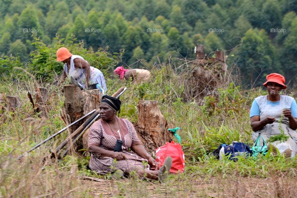 Women working in rural South Africa 