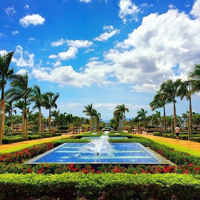 Paradise . Shot on vacation in Costa Rica 