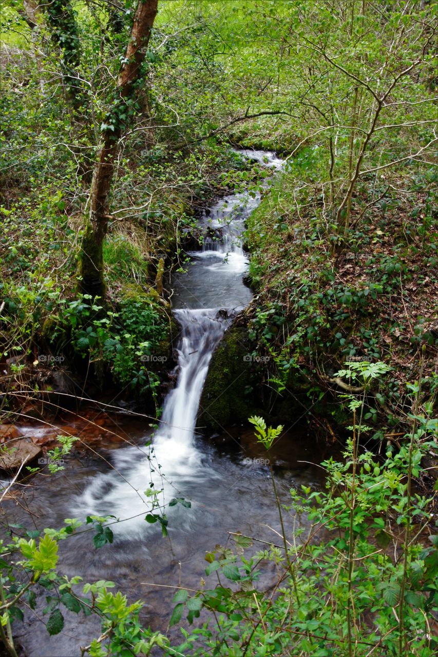 Water, Nature, Wood, Leaf, Waterfall