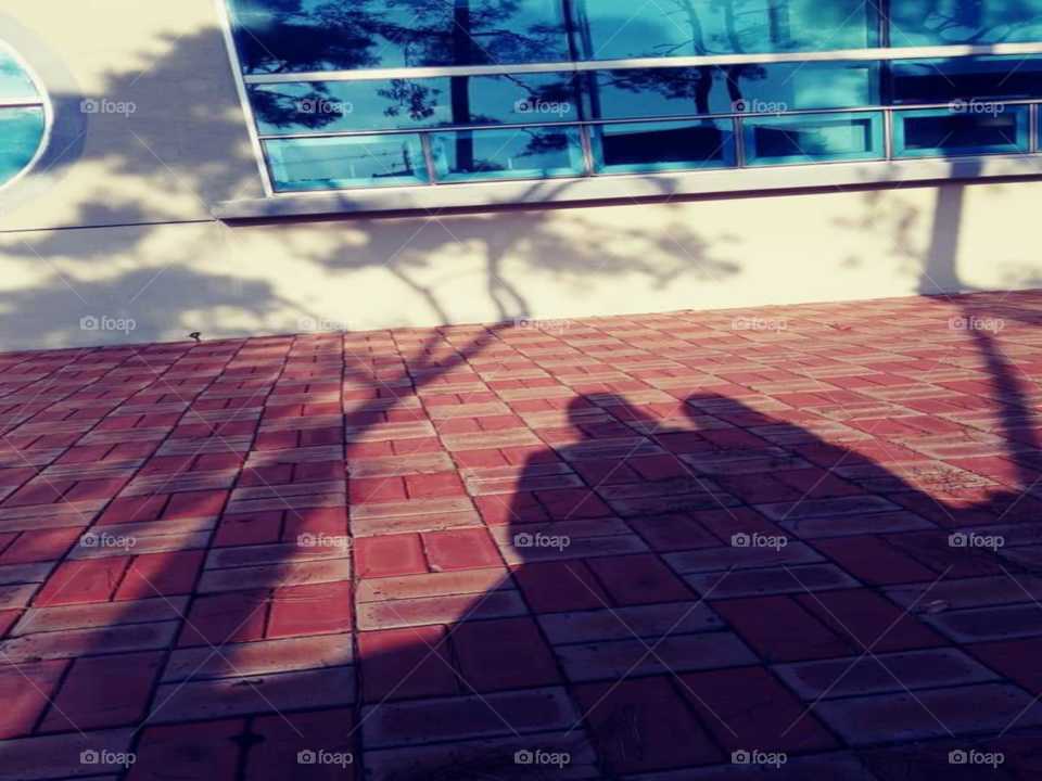 a shadow of a child and mother  sitting together  while the mother  is hugging the side of her daughter.