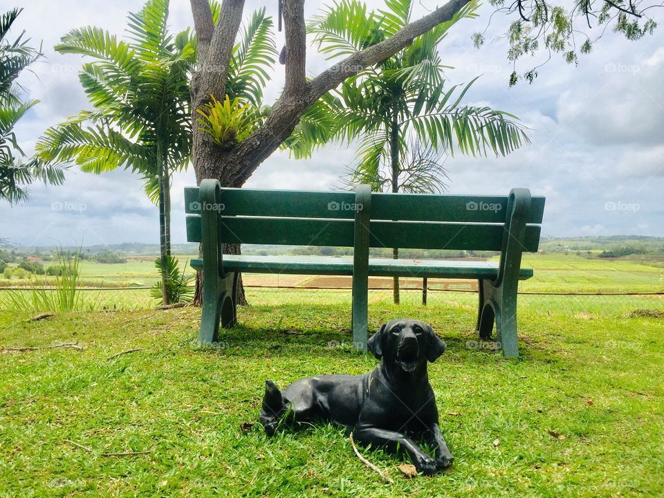 Dog statue 