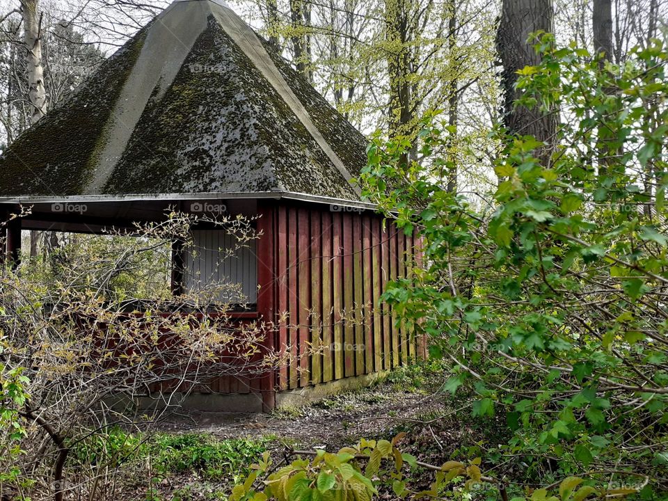 a house deep in the forest