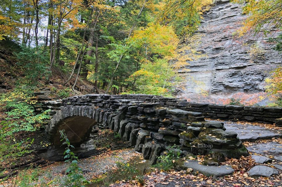 Fall foliage at Stony Brook State Park