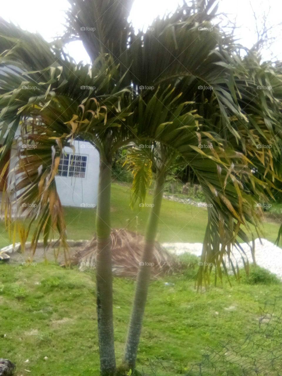 yes we all love when our environment is nice an clean an looking very beautiful and we also fell clean as well .