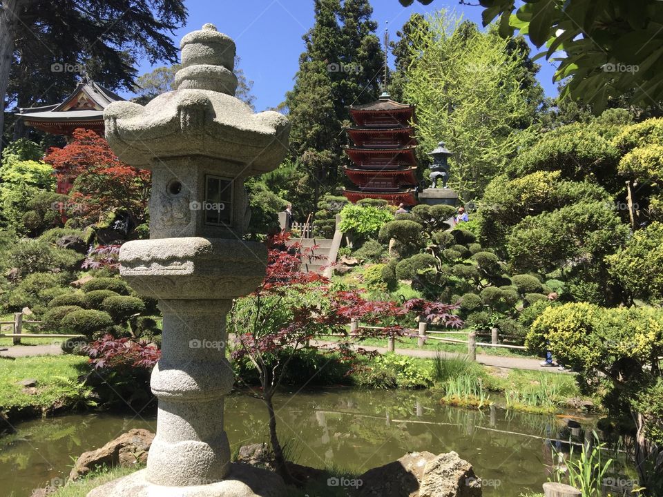 San Francisco Japanese Tea Garden 