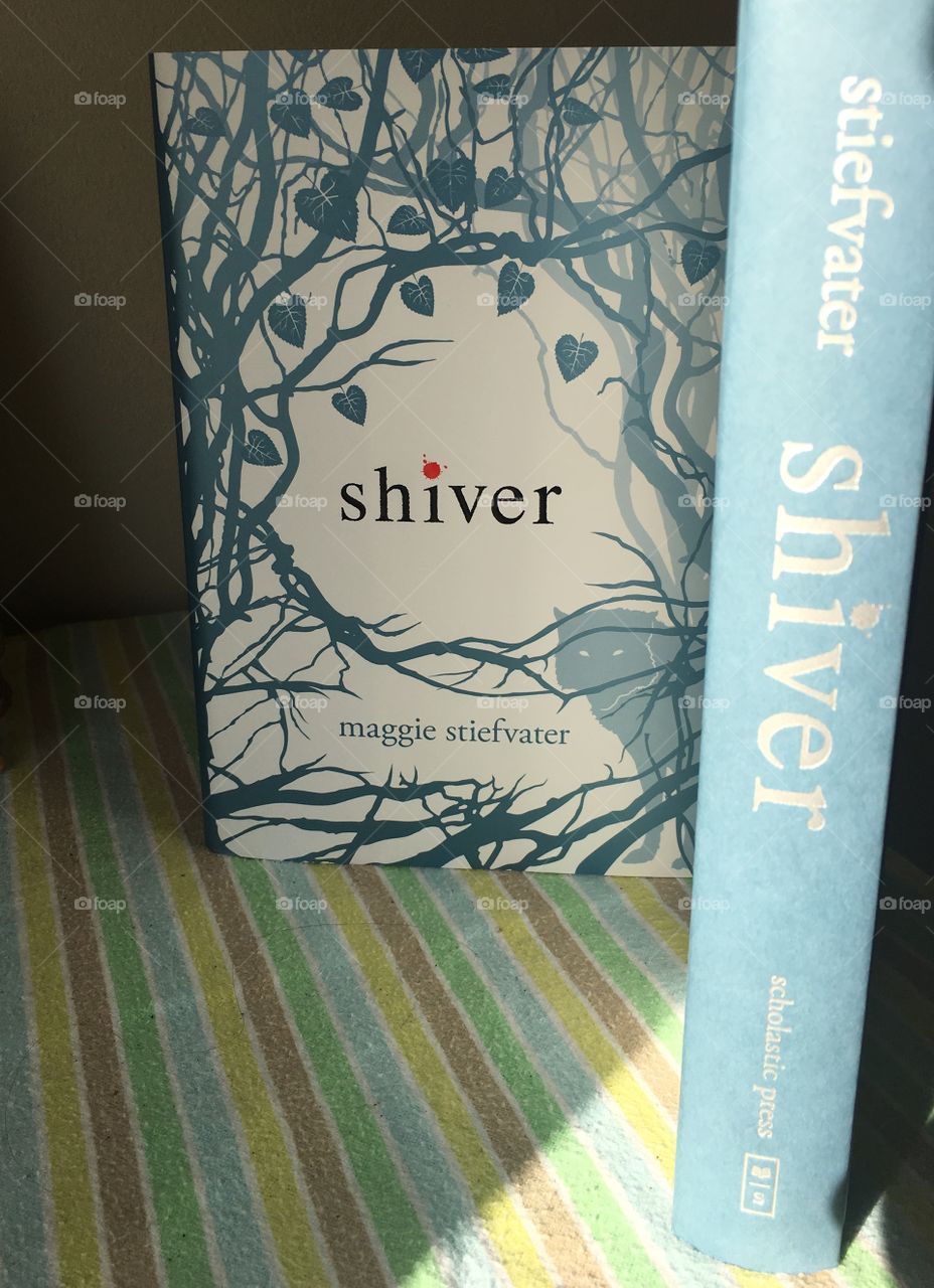 Shiver by Maggie Stiefvater. Great book with a beautiful cover. 