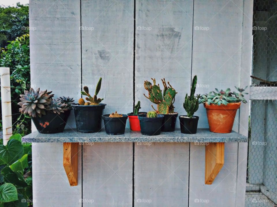 Prateleira de esperanças,  desejos e boa sorte.