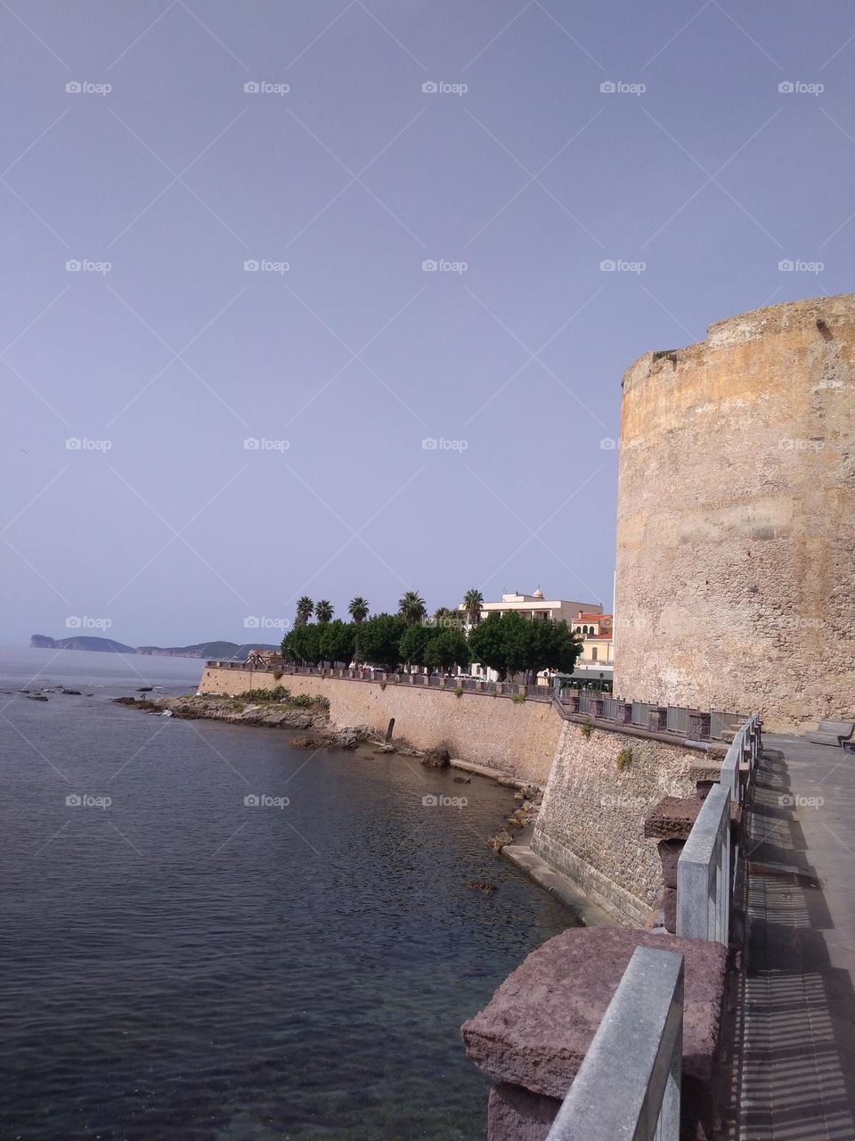 Editors' Choice: Photo of the Week