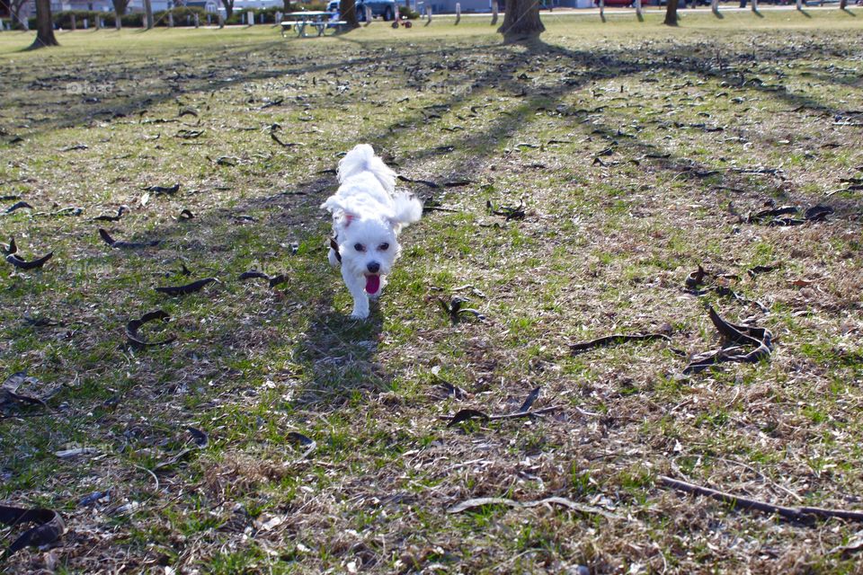  Running around the park 