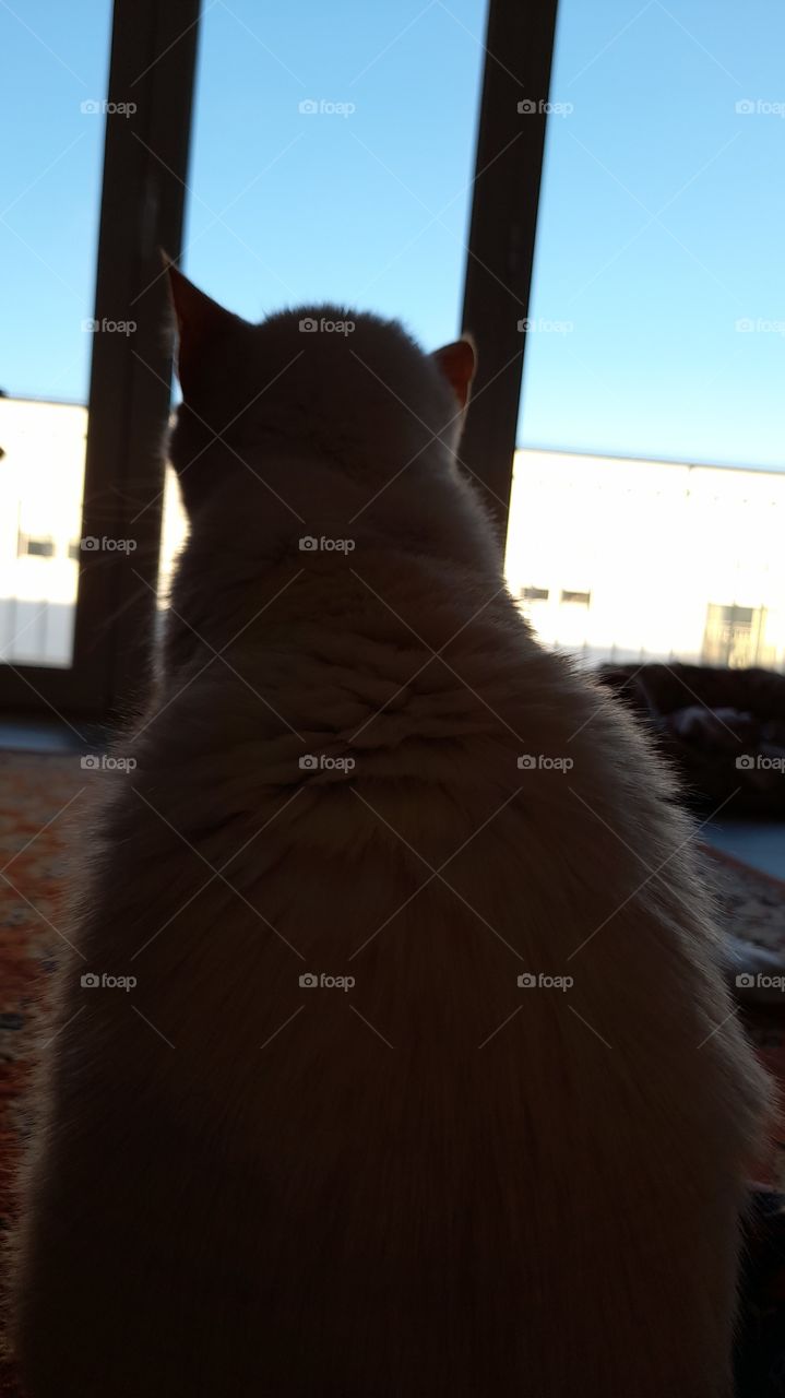 waiting to open the door