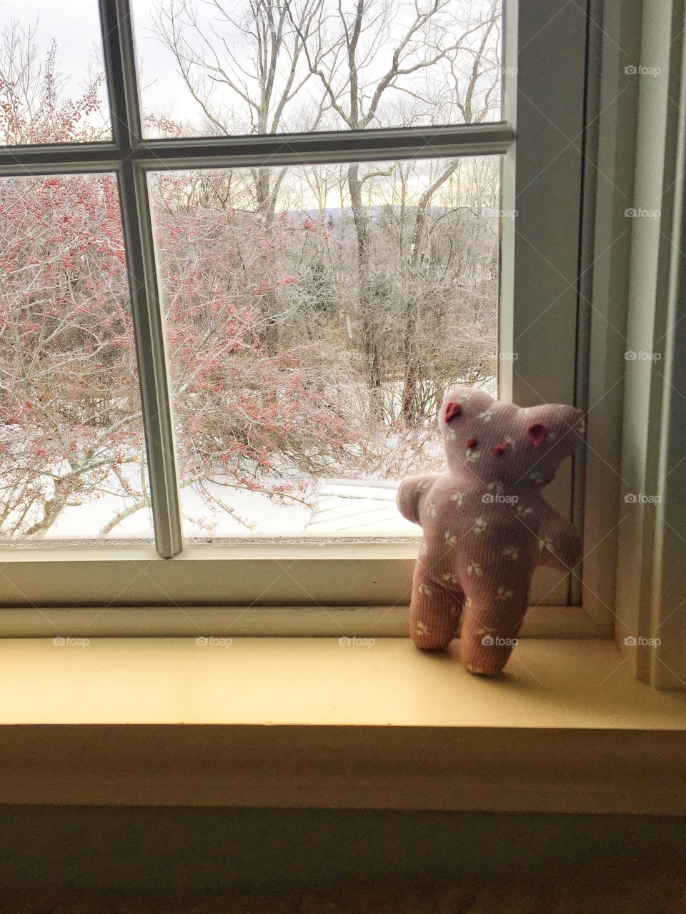 A pink teddy bear sits in the window. Outside, the snow rests on the ground and on a tree covered with red berries.