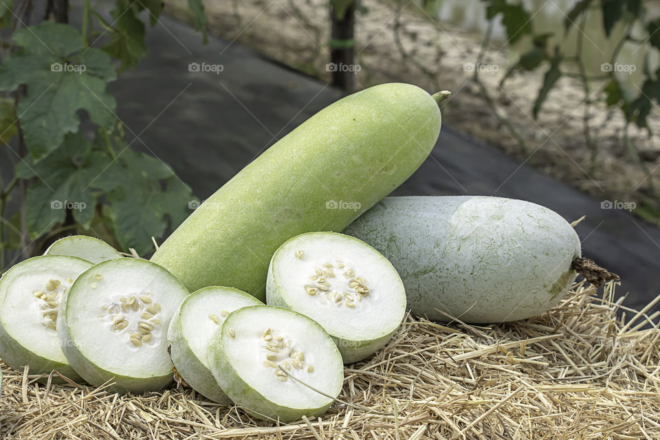 Winter melon is cut into pieces on the straw.