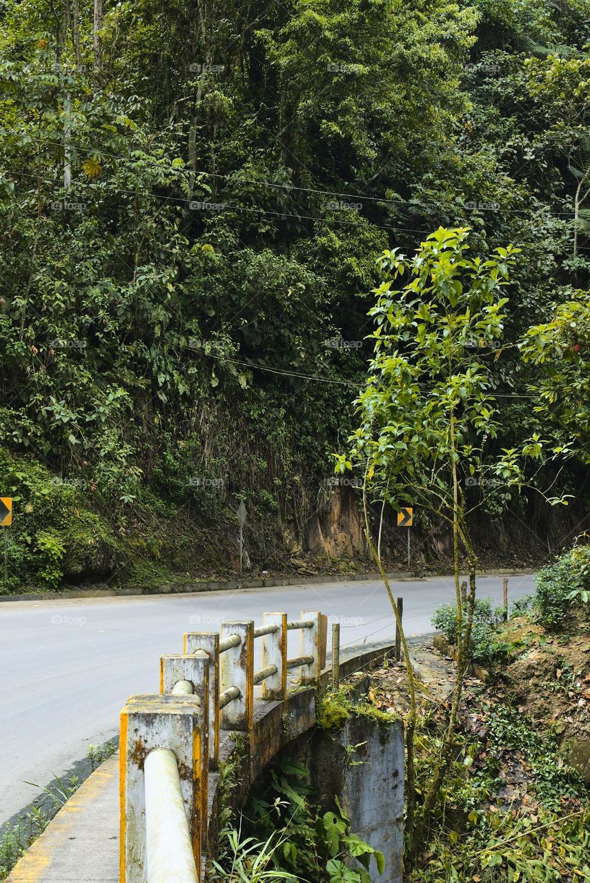 Carpet track in mountainous area of the equator