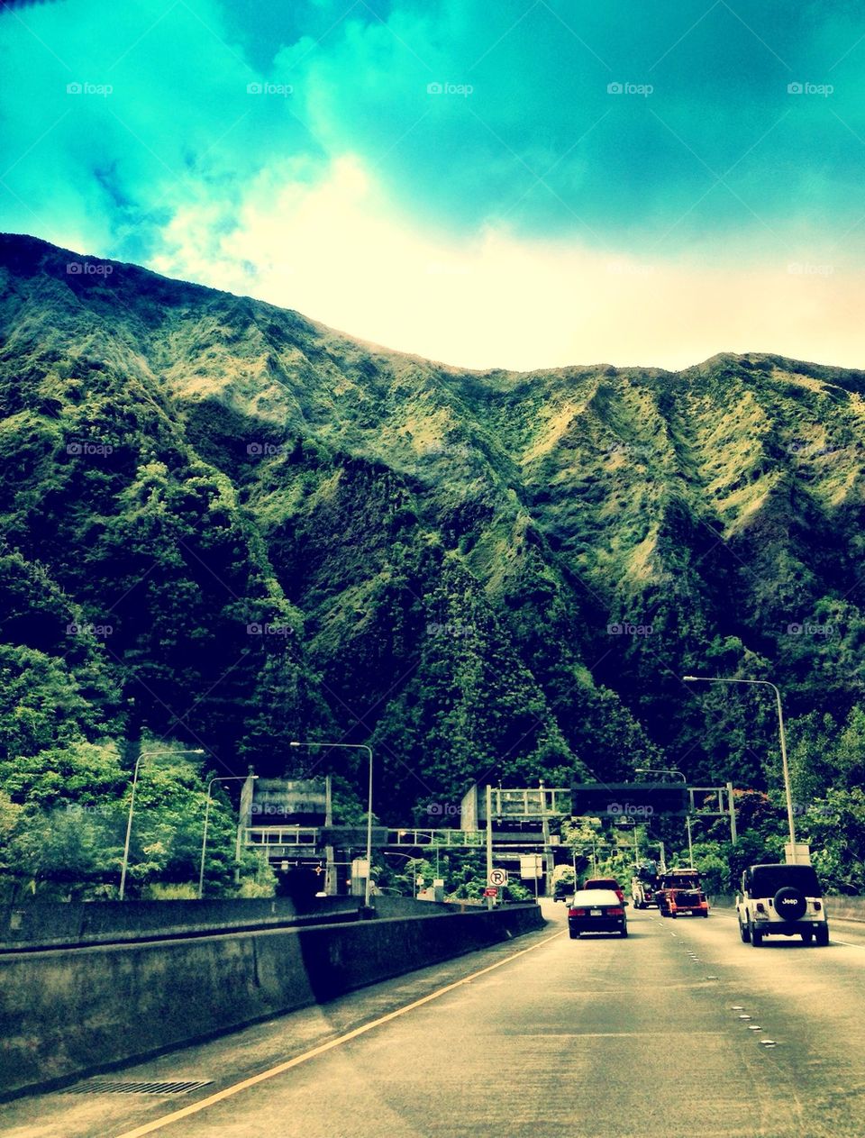 Hawaii road trippin