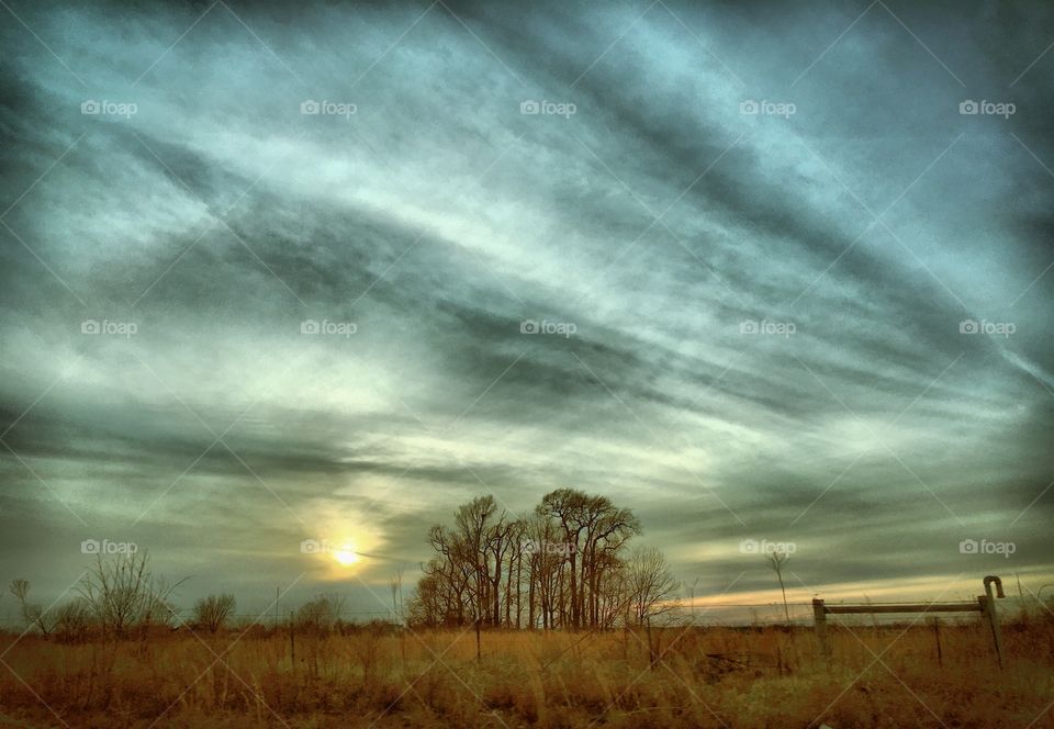 Sunset on the farmland
