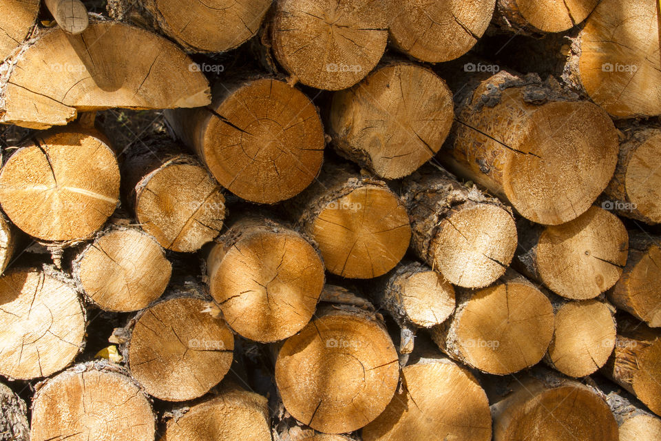 Stack of fire wood