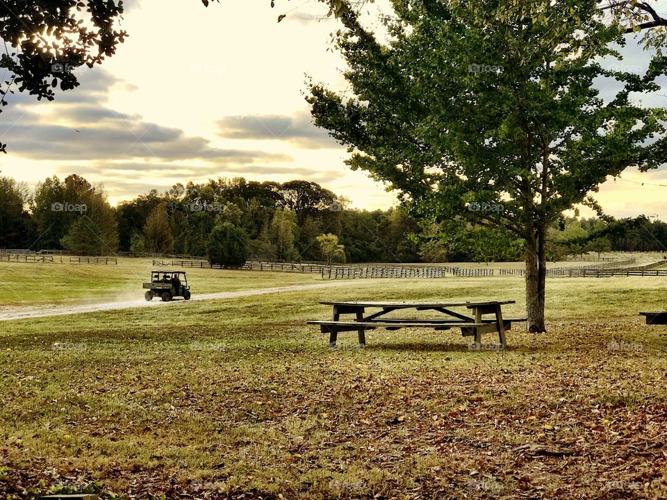 Empty picnic table on the grassy land