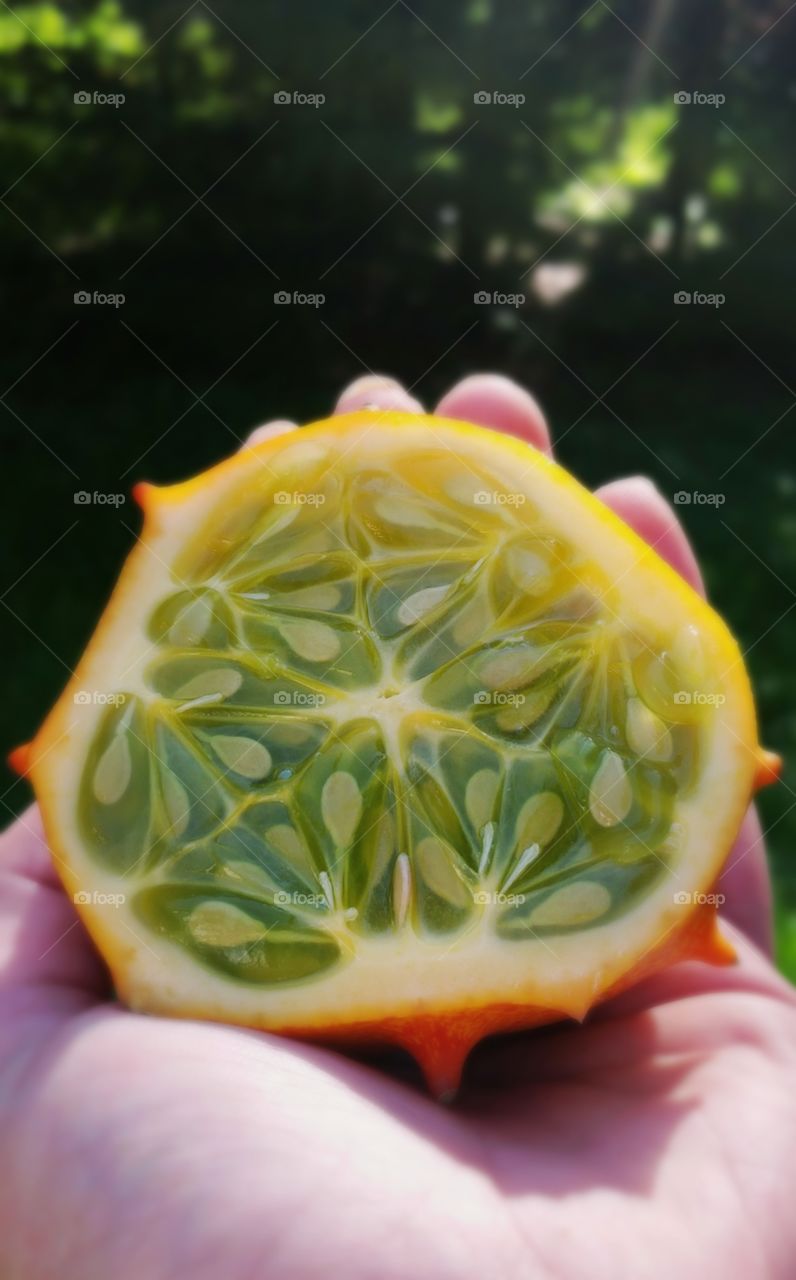 Kiwano melon.