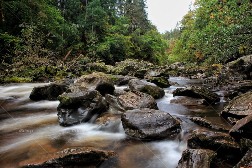 Stream flowing through rocks in forest