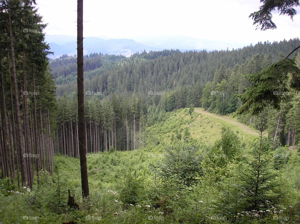 A landscape view on mountains 