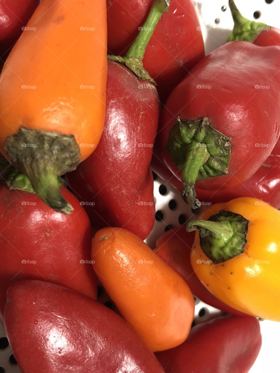 Pick a peck of pretty peppers