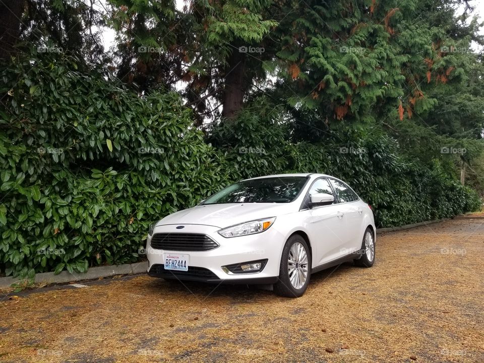 Car, Vehicle, Road, Pavement, Noon