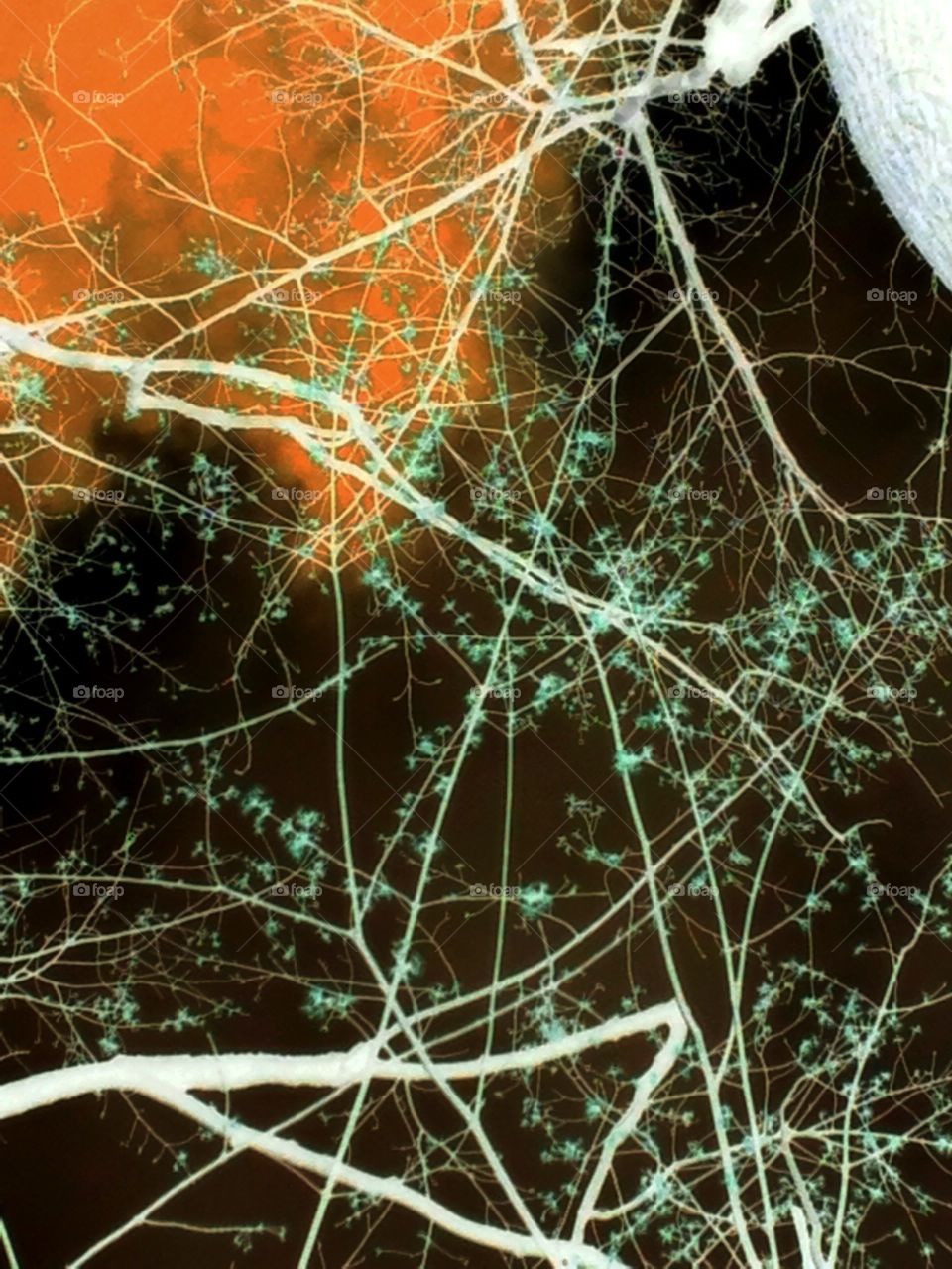 The Structure of Things  