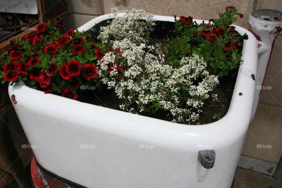 Flower Tub