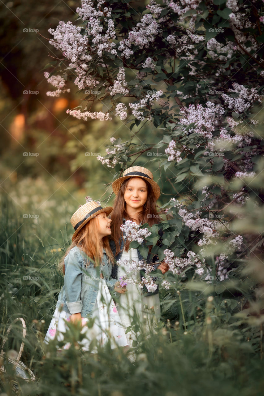 Little sisters in a hat near blossom lilac tree at sunset 