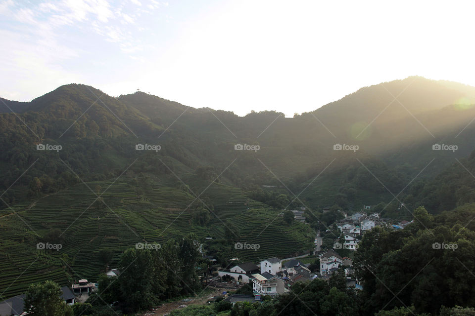 Hangzhou view. The view at hangzhou tea plantage is breathtaking, china.