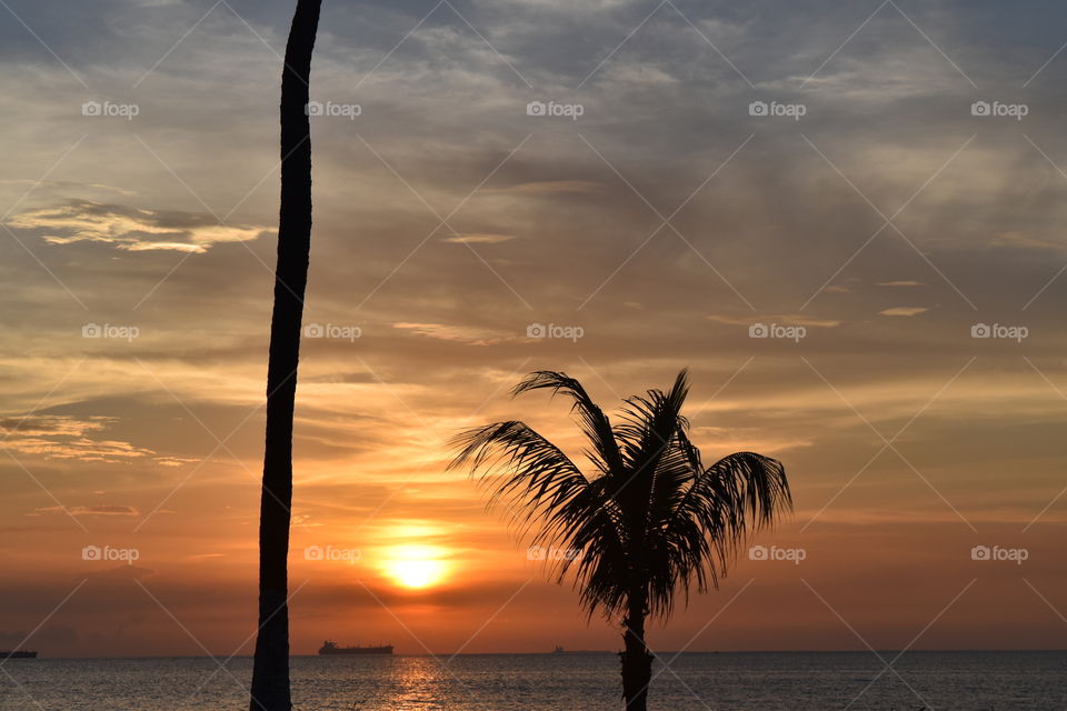 Beach views for days 