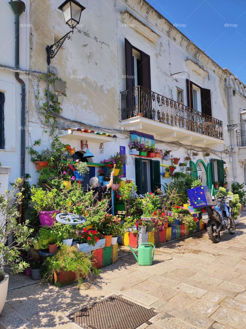 Little flower shop in the city of Bari / Italian city / Colourful Italian flower shop