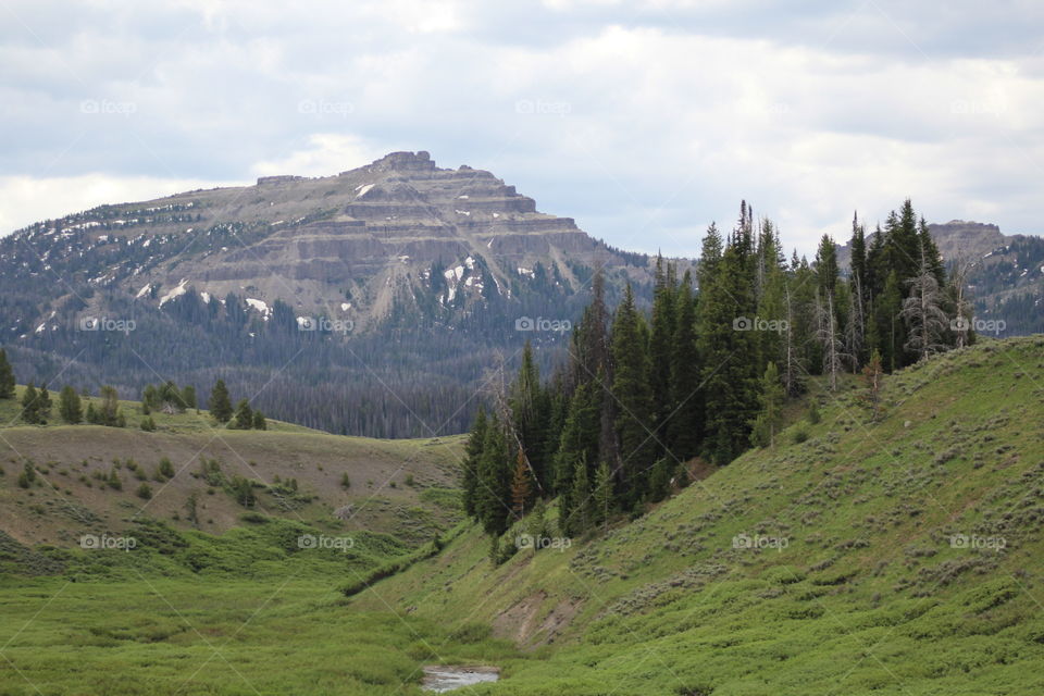 River trees mountain cloud cloudy snow green outdoors wilderness unedited