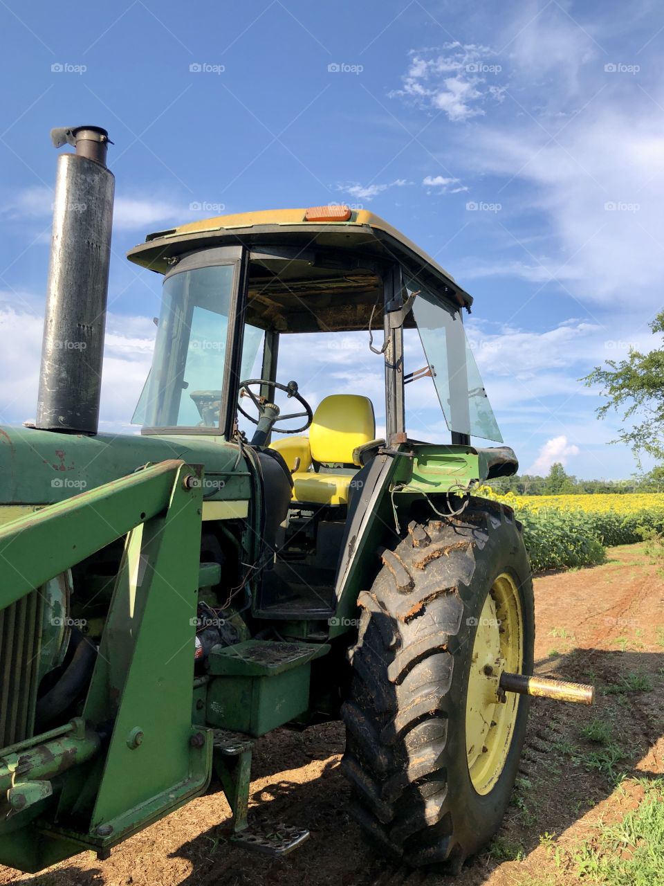 Closeup farm tractor parked on dirt row by sunflower field 