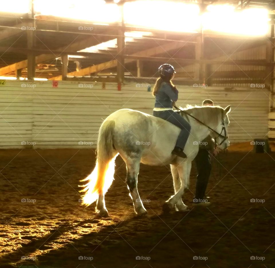 sunshine in horse arena