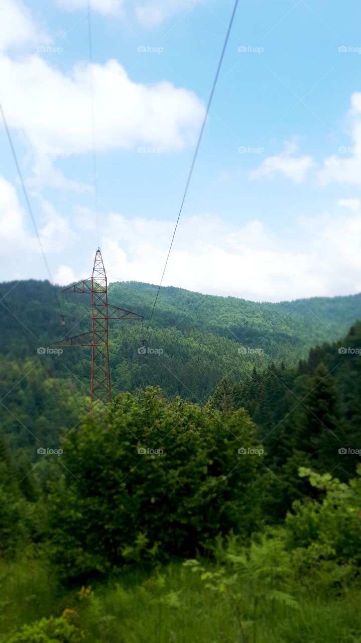 A view of the woods and the power lines stretching across forests and hills