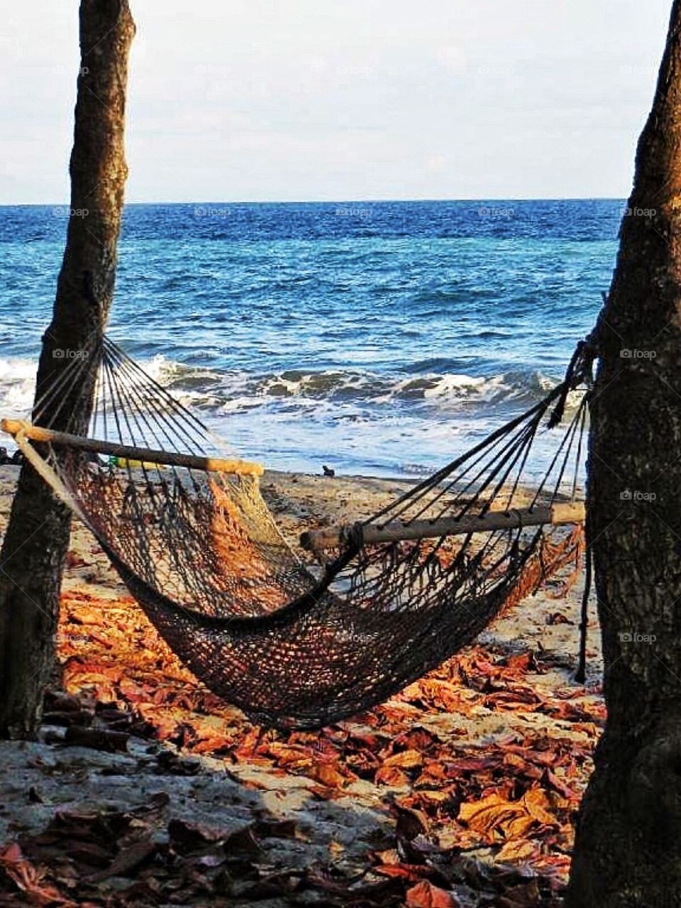 Hammock by the sea