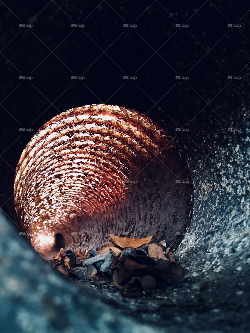 Down the rusty cracked pipe 