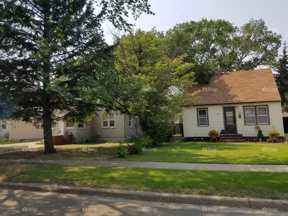 Home, House, No Person, Tree, Architecture