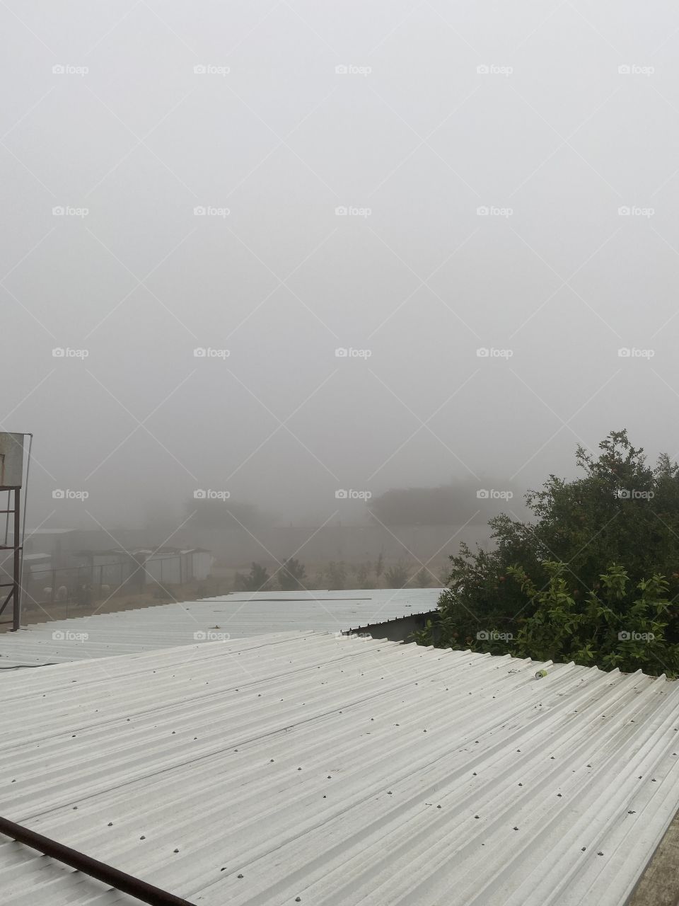 🥶🌧all the time a weather city of albaha