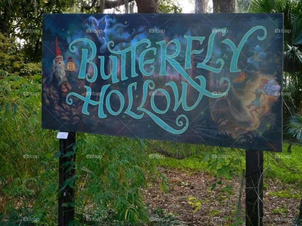 butterfly hollow