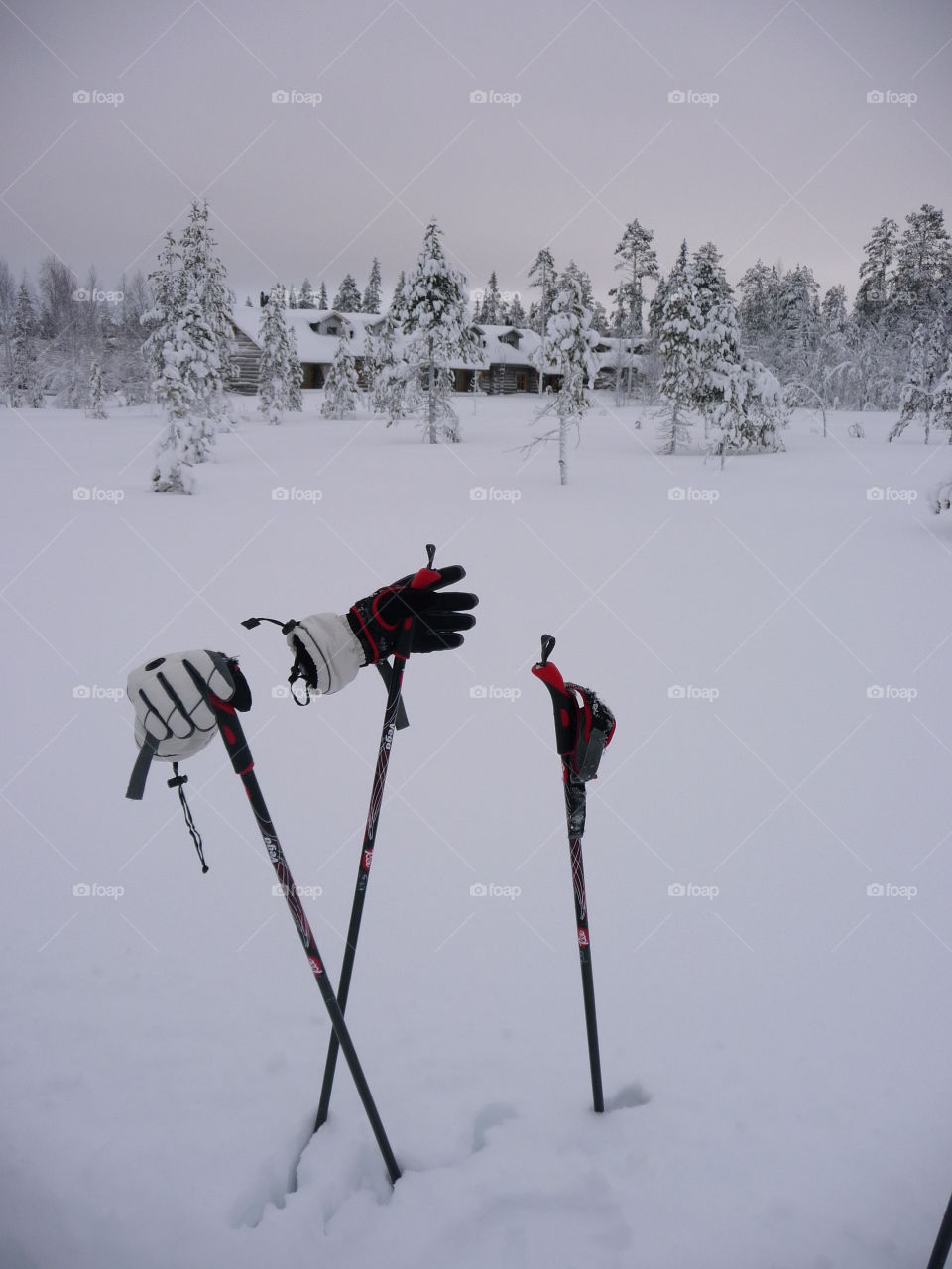 Ski pole and gloves in snow
