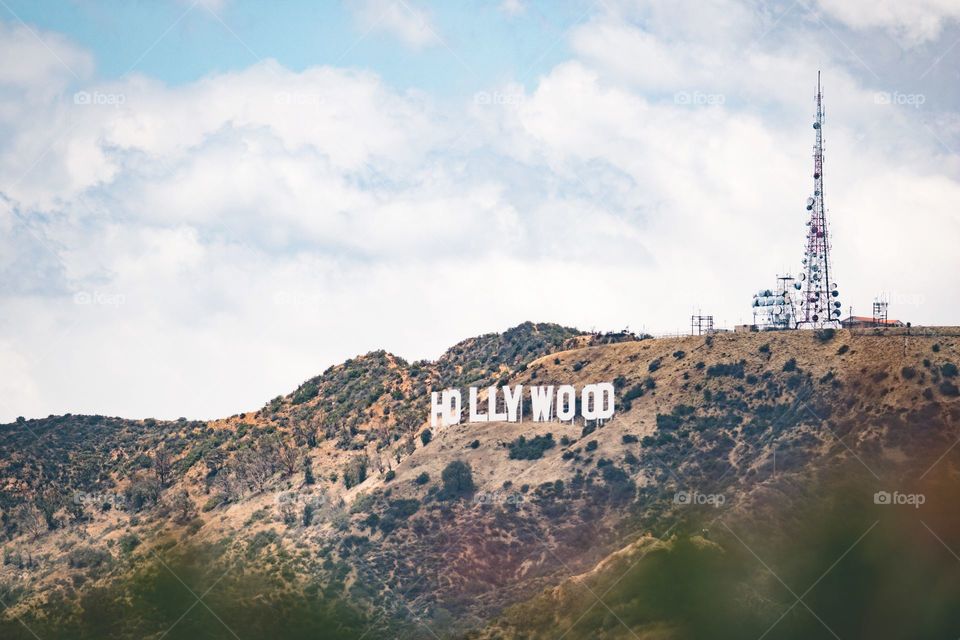 Hollywood Land