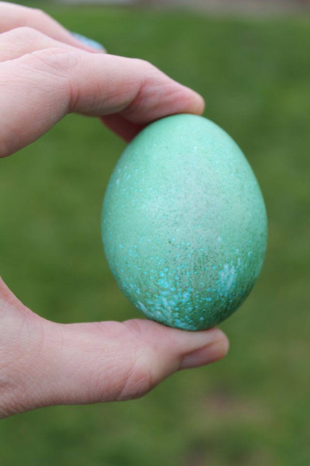 green egg