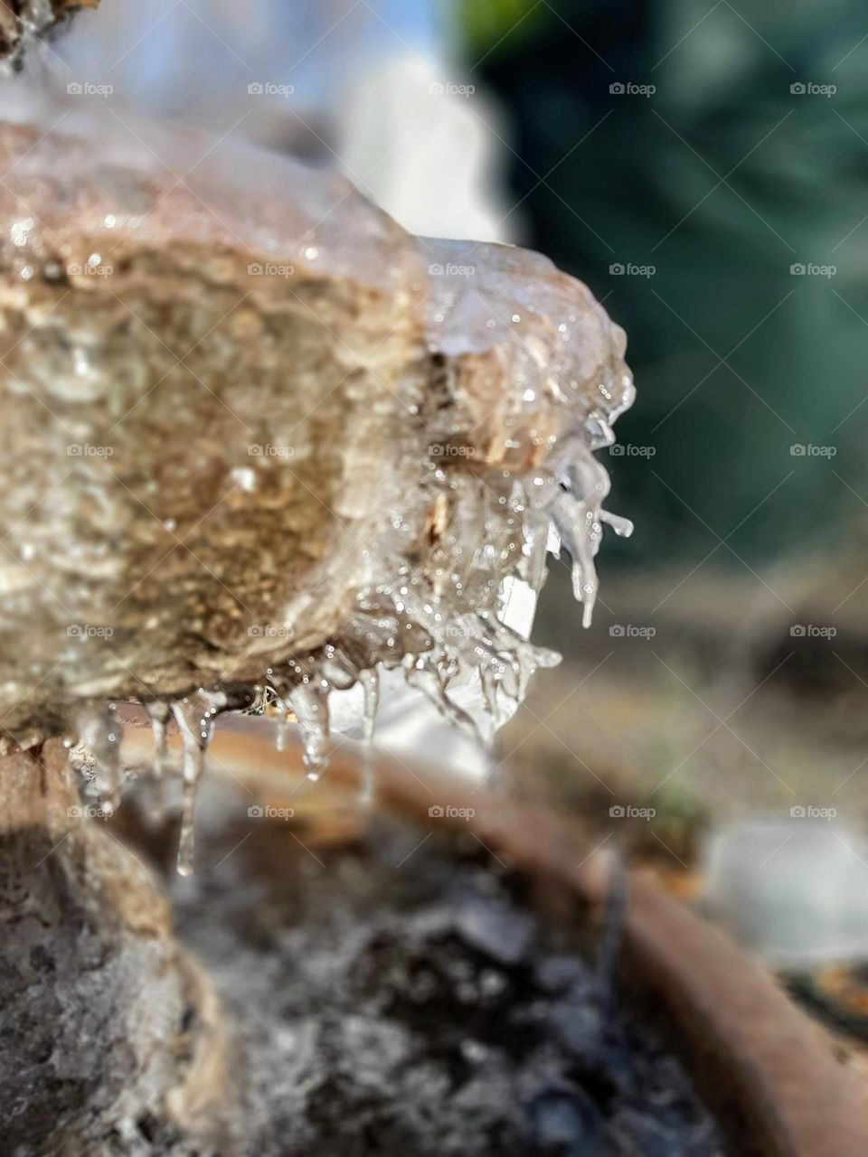 Frozen fountain water