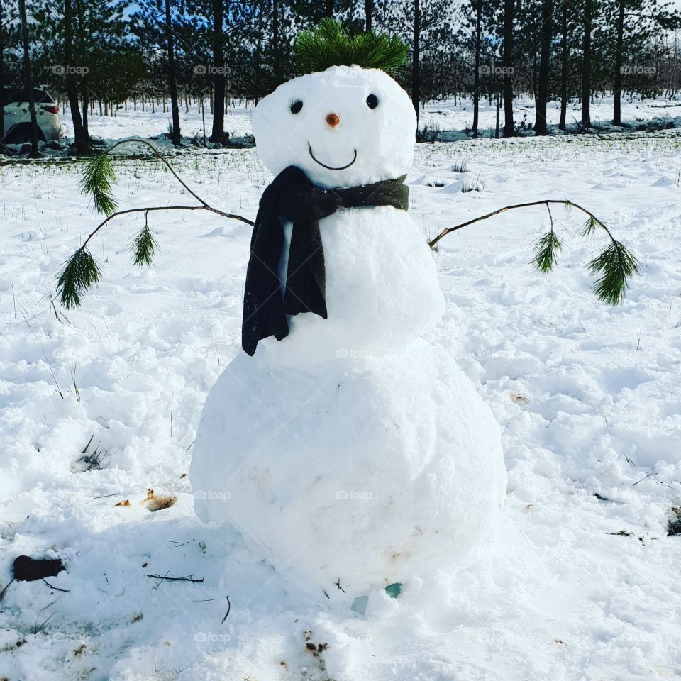 Frosty the snow man
