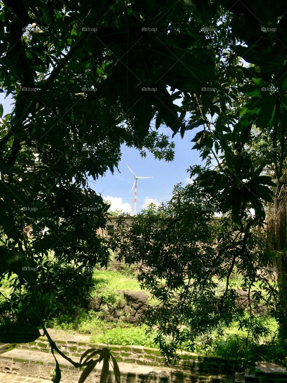 A windmill view from the covered jungle trees and the river in sunny day