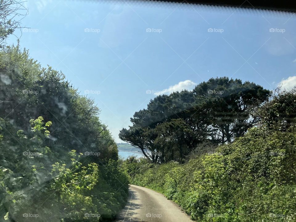 You know you are in Cornwall when the roads are this narrow … view from the car windscreen