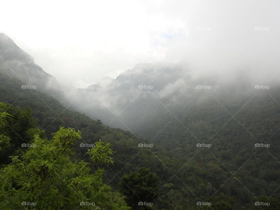 What a beautiful site.  mountains and forest coverd by the mist